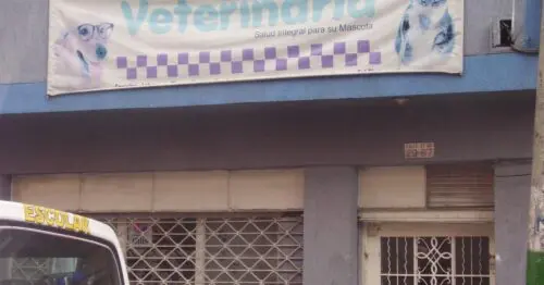 VETERINARIA CALLE 27 CON 29 VETERINARIA CALLE 27 CON 29